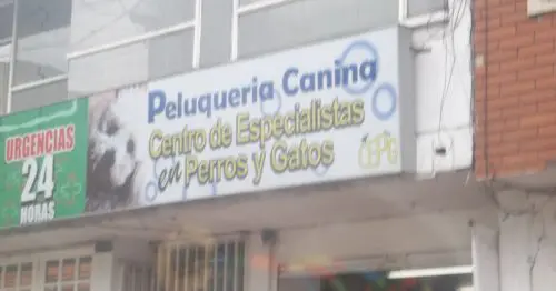 PELUQUERIA CANINA TARRAGONA SALITRE I PELUQUERIA CANINA TARRAGONA SALITRE I